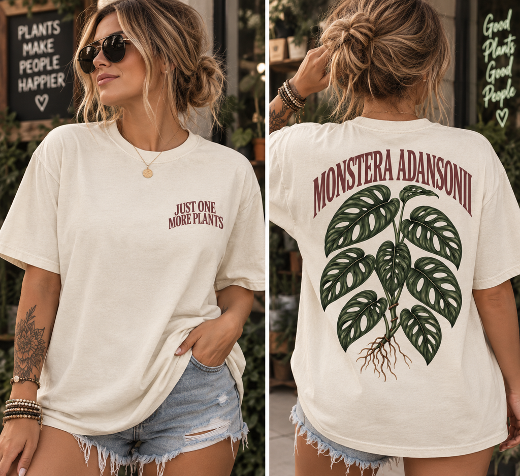 Monstera Adansonii T