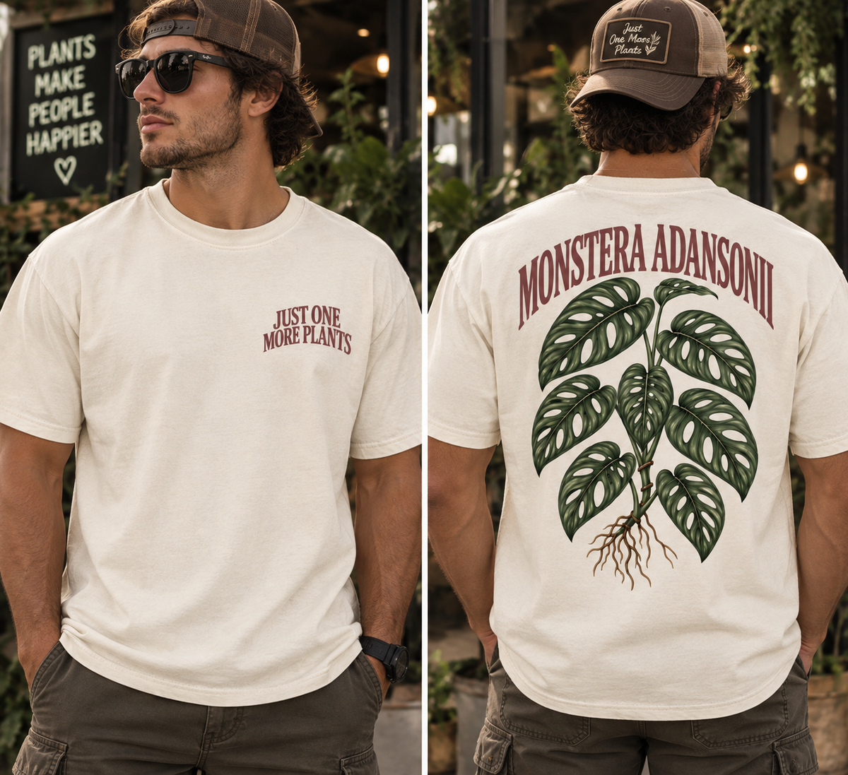 Monstera Adansonii T