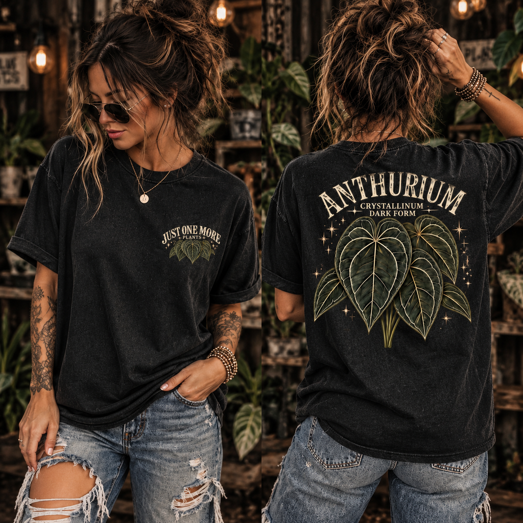 Anthurium Crystallinum Dark Form T
