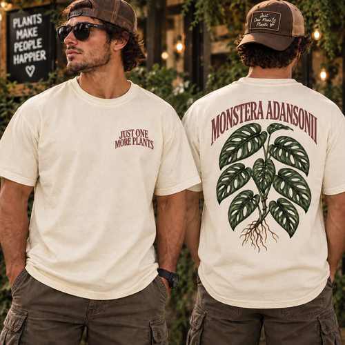 Monstera Adansonii T