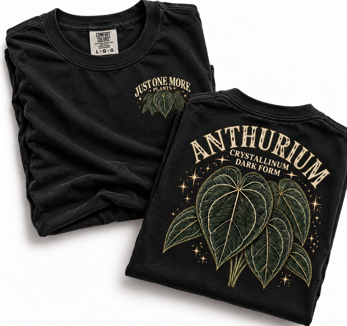 Anthurium Crystallinum Dark Form T