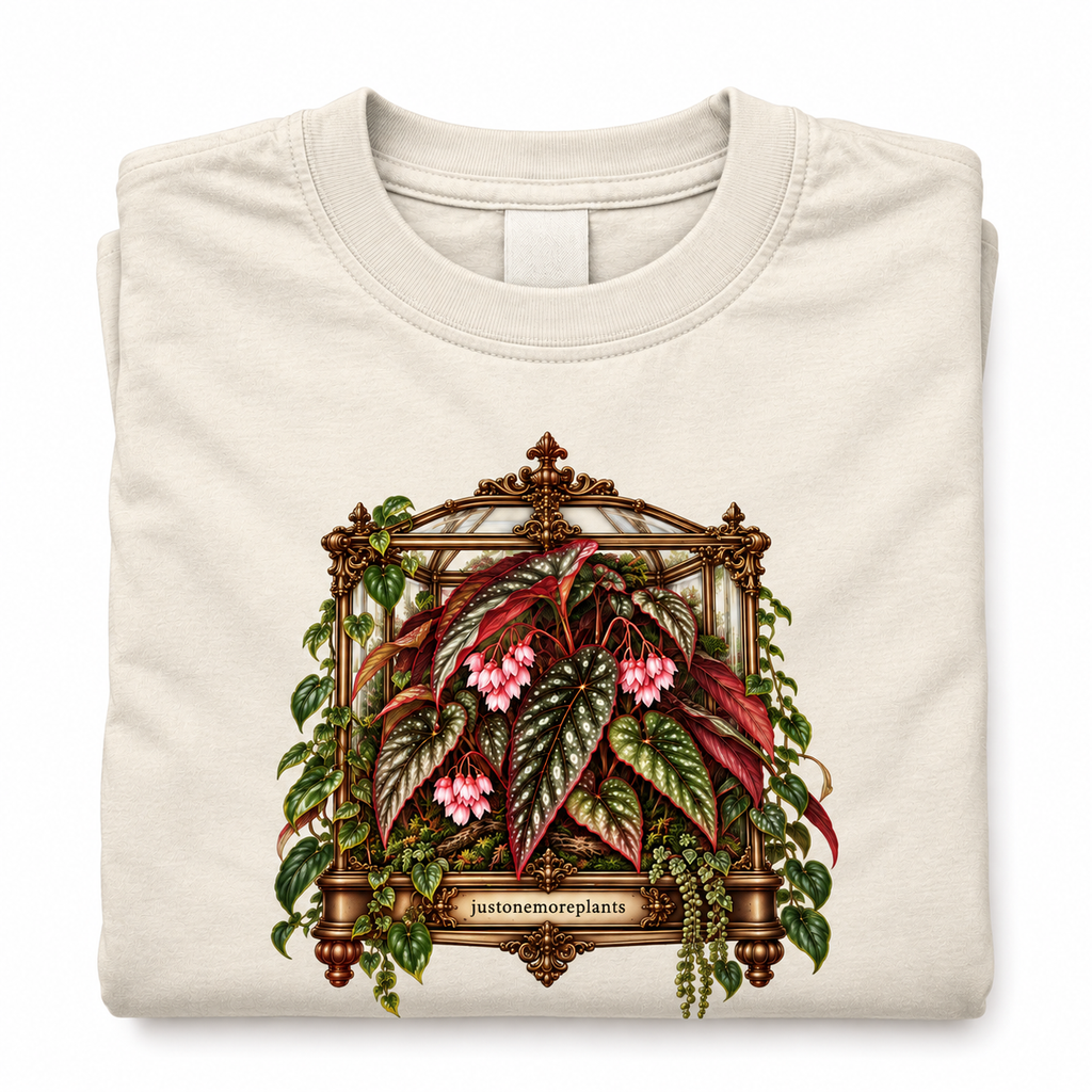 Victorian Begonia T