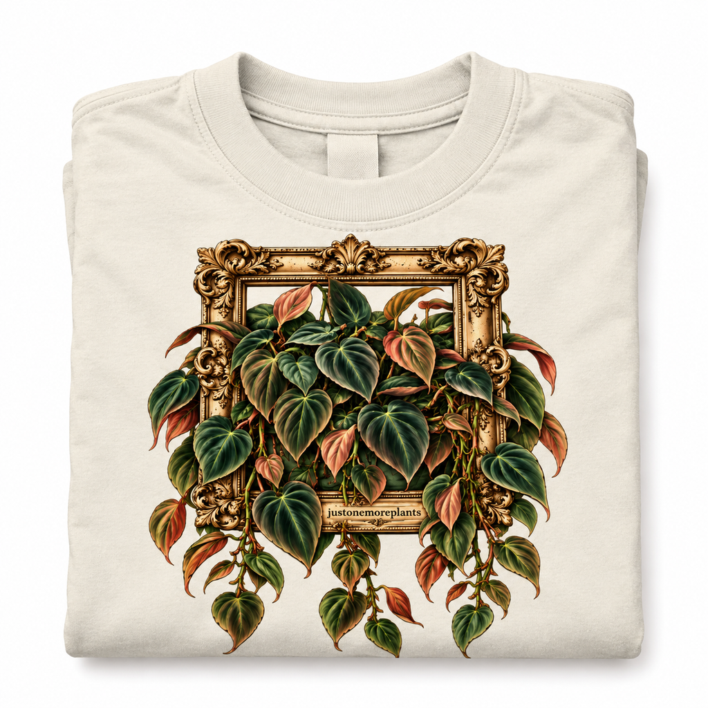Victorian Micans T
